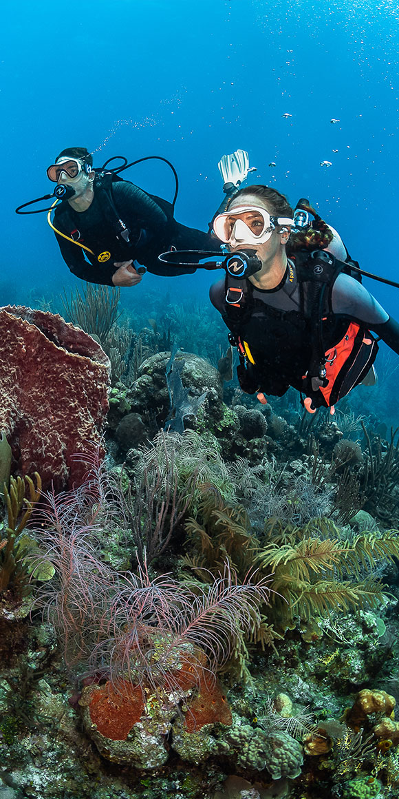 What are Aqualung's Dive Wetsuit Technologies?